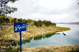 مدیری که می‌خواهد مالک  شود؟