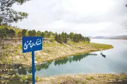 مدیری که می‌خواهد مالک  شود؟
