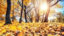 پاییز گرم در راه است/ آغاز بارش‌های پاییزی زودتر از موعد 
