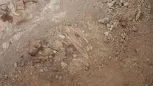 کشف گورستان سلطنتی ایلخانی درگنبدسلطانیه