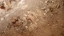 کشف کتیبه ای جالب توجه در حوالی تخت جمشید