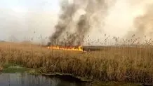 تالاب هورالعظیم خشک شد + عکس