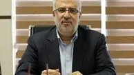 وزیر نفت: ایران منافعش را در میدان گازی آرش پیگیری می‌کند