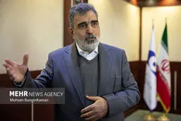 Iran's heavy water ranks first in word: AEOI Spox.