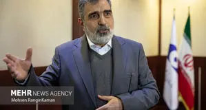 Iran's heavy water ranks first in word: AEOI Spox.