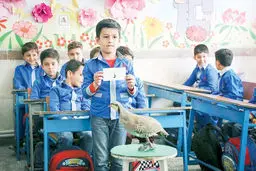 جبری تلخ به نفع بی‌سوادی