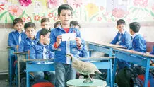 جبری تلخ به نفع بی‌سوادی