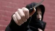 دستگیری شرور مسلح تهران به ضرب گلوله پلیس