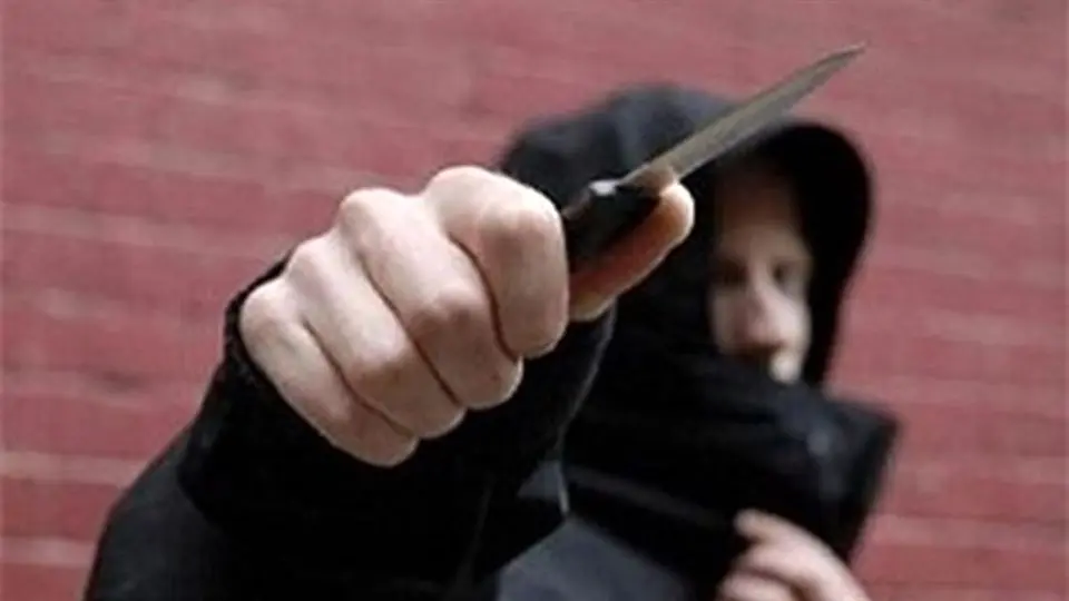 دستگیری شرور مسلح تهران به ضرب گلوله پلیس