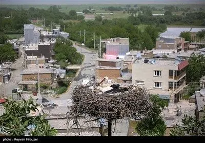 ساکنان روستا با ساخت آشیانه‌های ایمن روی درختان بلوط از لک‌لک‌ها حمایت می‌کنند تا از مرگ‌ومیر پرندگان به دلیل برق‌گرفتگی یا افتادن جوجه‌ها جلوگیری شود که نشان‌دهنده تعهد فرهنگی و زیست‌محیطی آن‌هاست.
