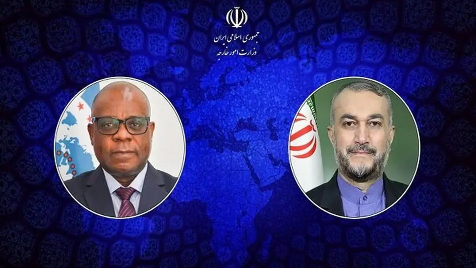 Iran hails D8 support for Palestinian people