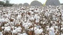 سفیر بنغلادش یطلب استیراد القطن والمنتجات المنجمیة من ایران