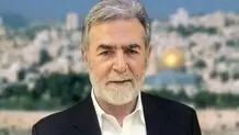 محل سکونت زیاد نخاله هدف اسرائیل قرار گرفت 