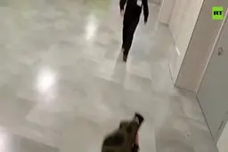 چاقوکشی مرگبار در مدرسه‌ای در حومه مسکو