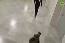 چاقوکشی مرگبار در مدرسه‌ای در حومه مسکو
