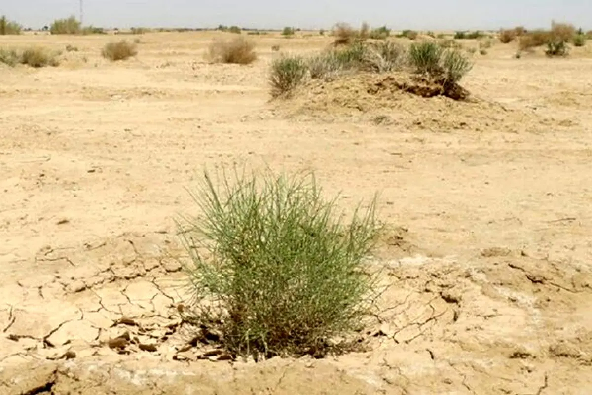 هر کسی آن دِرَوَد عاقبت کار که کِشت


