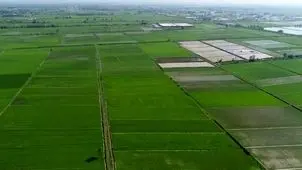 ۱۱ هزار هکتار از مزارع لرستان یکپارچه‌سازی شد

