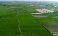 ۱۱ هزار هکتار از مزارع لرستان یکپارچه‌سازی شد

