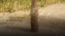 یک گلوله توپ از زمان جنگ ایران و عراق  خنثی شد

