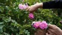 تصاویری زیبا از بهار در روستایی در رودبار+عکس