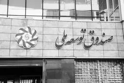 صندوق توسعه ملی  بی‌توجه به الگوهای موفق جهانی
