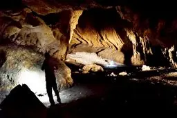 نقش کلیدی فلات ایران در مهاجرت انسان