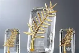 سهم ایران از جشنواره کن
