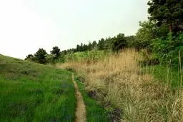 ماجرای سرقت شبانه از کلینیک پردیسان در تهران چه بود؟