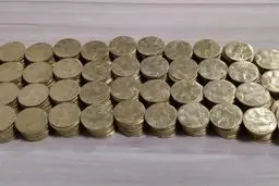 کشف کوله پشتی با 432 سکه تقلبی در داورزن

