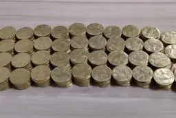 کشف کوله پشتی با 432 سکه تقلبی در داورزن


