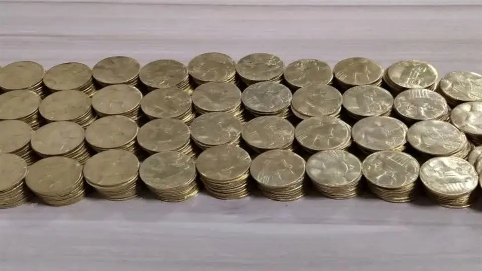 کشف کوله پشتی با 432 سکه تقلبی در داورزن

