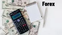 سود فارکس چقدر است؟ یک تریدر در 1 ماه میانگین چقدر درآمد دارد؟