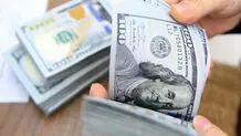 وعده خوشبینانه روزنامه دولت؛ «برگ‌ریزان» دلار در راه است

