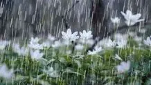 هواشناسی: هفته آینده پربارش است