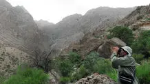 مرگ مشکوک دانشجوی دامپزشکی
