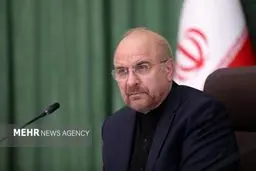 Developing strategic ties with neighbors Iran's policy