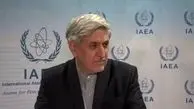 Iran willing to cooperate with IAEA: envoy