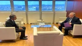 اولیانوف با گروسی درباره ایران رایزنی کرد

