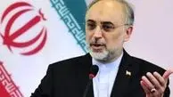 ایرانیان خارج کشور را نمی‌شود با بخشنامه جذب کرد