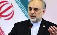 ایرانیان خارج کشور را نمی‌شود با بخشنامه جذب کرد