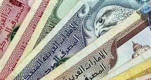 قیمت درهم امروز شنبه ۲۳ خرداد ۱۴۰۵/کاهش قیمت درهم