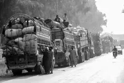 بحران خروج مهاجران غیرقانونی از پاکستان
