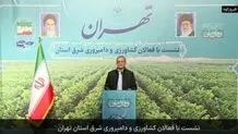 خوش‌آمدگویی متفاوت بانوی باغدار به رئیس‌جمهور