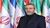 Iran biggest victim of chemical weapons: Acting FM
