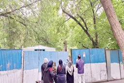پارک‌خواری پشت نقاب «زنده باد درخت»