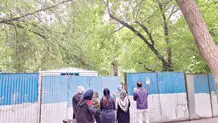 پارک‌خواری پشت نقاب «زنده باد درخت»