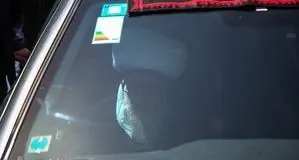 آیت الله وحید خراسانی در دسته عزاداری حاضر شد+عکس