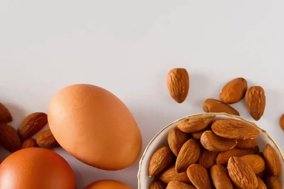 آجیل به اندازه تخم مرغ پروتئین داره؟