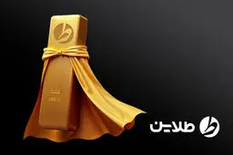 گـزارش جامـع سـال ۱۴۰۳ طلاین