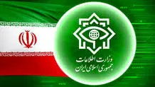 احمدی مقدم: نارضایتی ها به معنای قبول فروپاشی نیست